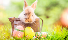 Ideas for Celebrating Easter with Kids